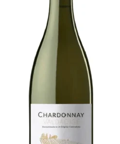 Chardonnay Adige Doc 2022 75cl x 6 – Cantine Di Ora