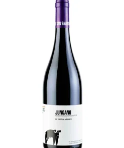 Aglianico San Salvatore  Gillo Dorfles  2016  75 CL