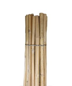 25 Canne di bamboo 2,10 metri | ∅ 16/18 mm.  Spedizione Gratuita!